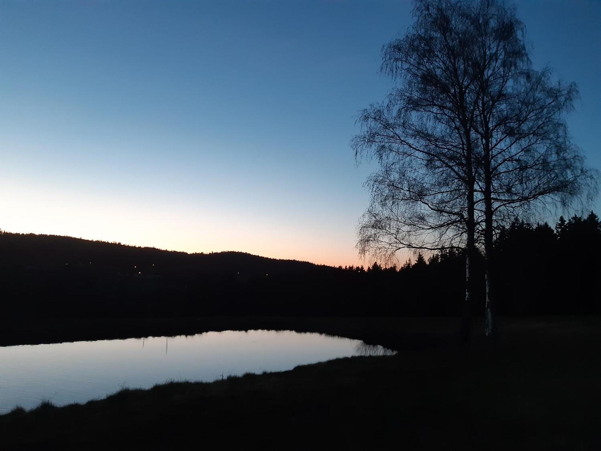 Zum Bergbauern Hotell Waidhaus Eksteriør bilde